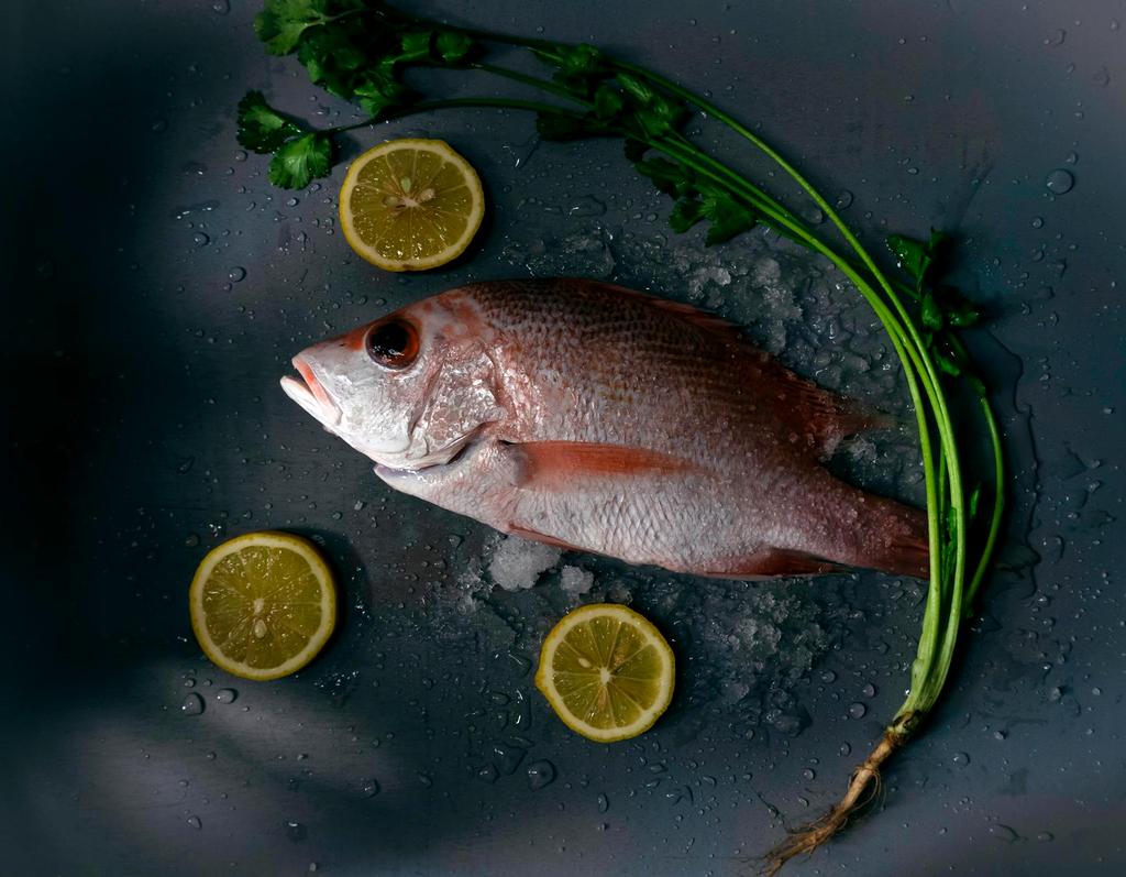 James Okamoto, Seafood Chef
